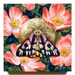 "Bloom" Elegant Sheep Moth Painting 18x18