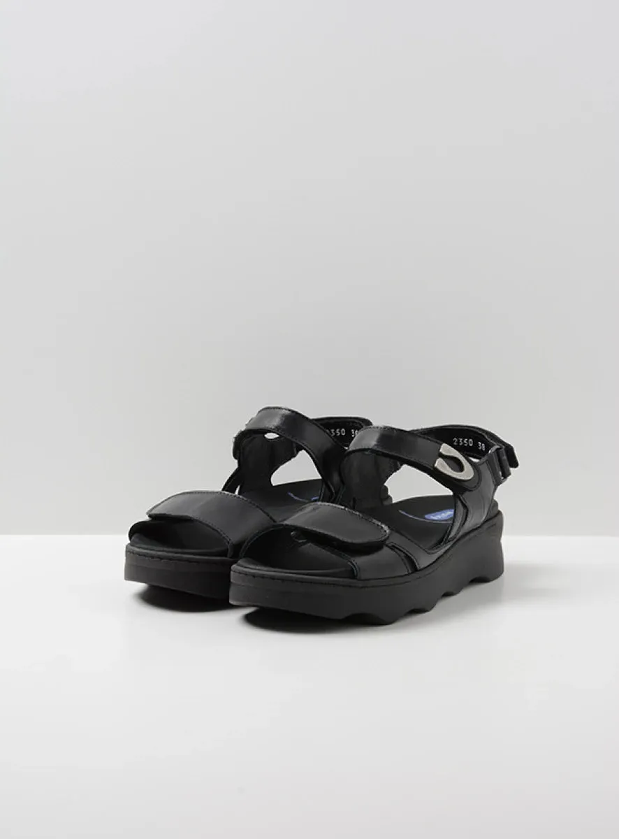 WOLKY MEDUSA BLACK