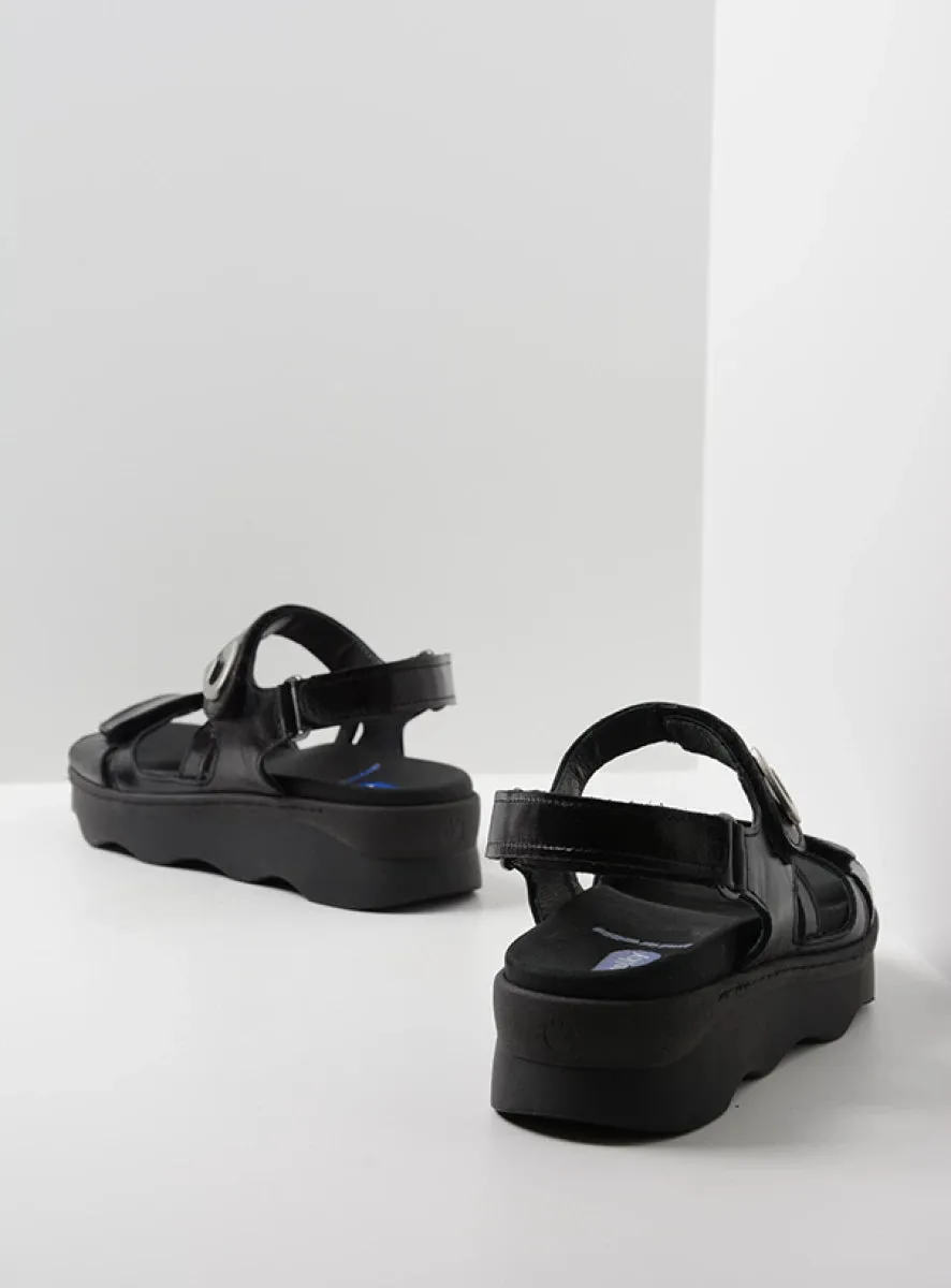 WOLKY MEDUSA BLACK